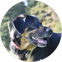 Barbara Theis profile picture